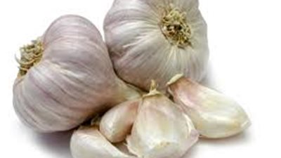 نصائح لإصلاح «عيوب الطهي» من الشيف سناء بغدادي