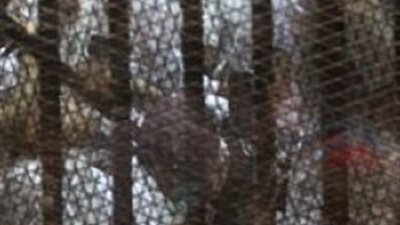 مشادة كلامية بين متهمي الإخوان والجماعة الإسلامية في «أحداث أسوان»