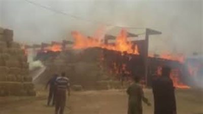 حريق بمصنع السكر في كوم أمبو بأسوان (فيديو)