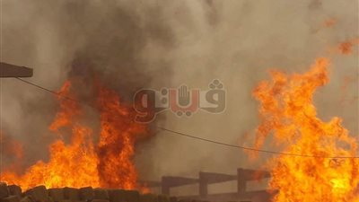 لحظة اشتعال النيران بمصنع كوم أمبو في أسوان (فيديو)
