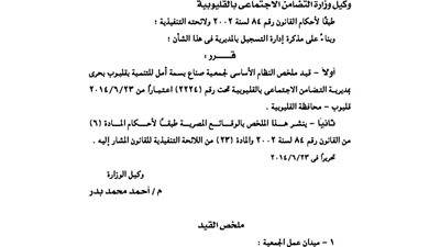 قيد ملخص جمعية صناعة بسمة أمل بالقليوبية