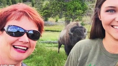 بالصور.. ثور ينطح امرأة بطريقة بشعة