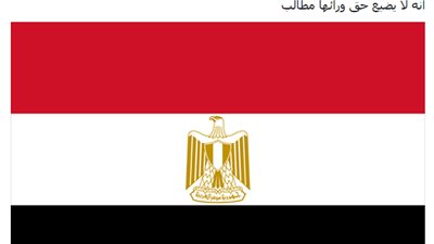 المصريون بالخارج يدشنون مبادرة «حقي سيارة بدون جمارك أو ضرائب».. نشطاء مواقع «التواصل» يتفاعلون بقوة مع الأهداف المرجوة.. ومسئولوها: «عاوزين حقوقنا ولا نسعى للصدام».. ومط