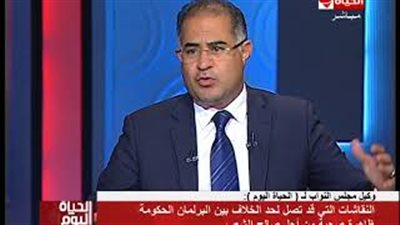 برلماني: الخلاف بين الحكومة والبرلمان ظاهرة صحية (فيديو)