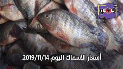 اسعار الأسماك اليوم 2019/11/14.. وكيلو البلطي بـ30 جنيها