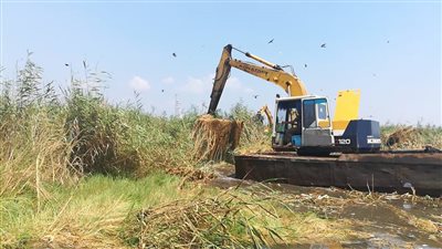 إزالة 5 مشاتل أرز مخالفة بالقليوبية.. و3 آلاف جنيه غرامة