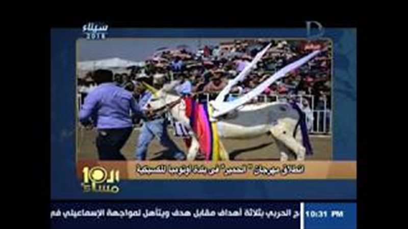 فيتو