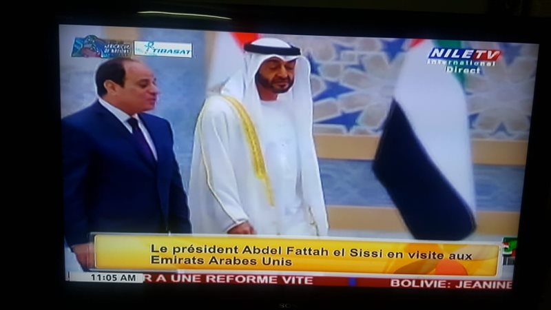 فيتو