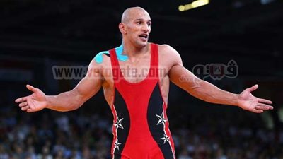 اتحاد المصارعة: 