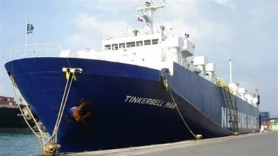 18 سفينة إجمالي الحركة بموانئ بورسعيد