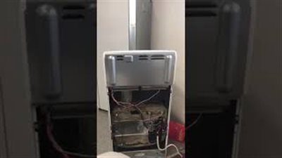 لحظة عثور مسن على ثعبان داخل الثلاجة (فيديو)