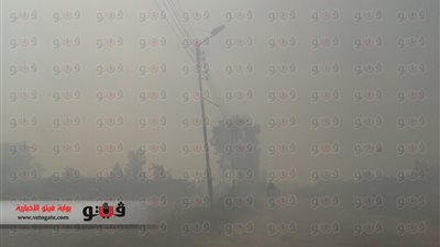 بالصور.. فلاحو الغربية يتحدون قرار المحافظ ويستمرون في حرق قش الأرز