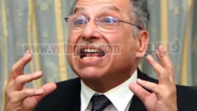 حمزة: الإخوان سرقوا 