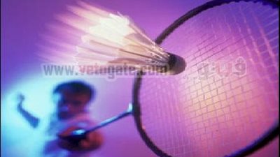 انتخابات الريشة الطائرة علي الرئاسة فقط