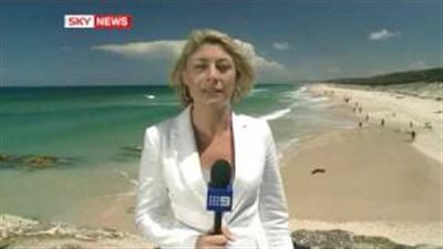 بالفيديو.. سمكة قرش مفترسة تهاجم شقيقتها وتقطعها إلى نصفين