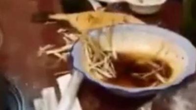 سمكة تعود إلى الحياة على طاولة مطعم رغم طهيها (فيديو)