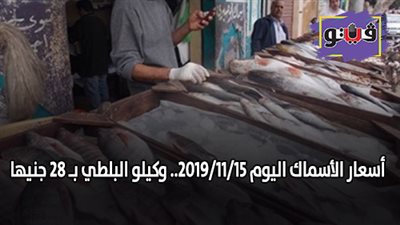 اسعار الأسماك اليوم 2019/11/15.. وكيلو البلطي بـ 28 جنيها