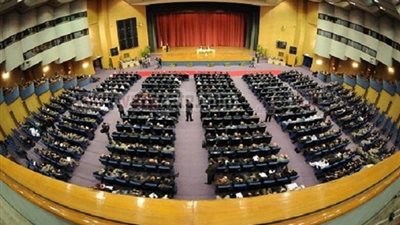 خبير دستورى: من حق المصريين بالخارج الترشح للرئاسة