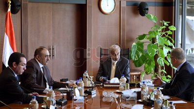 رئيس الوزراء يستعرض مع السويدي تقارير المشروعات الصغيرة بالقرى