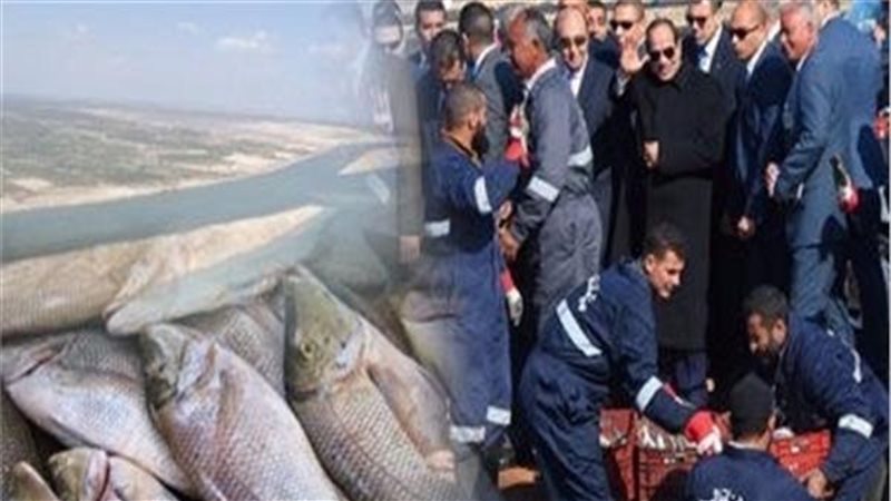 الرئيس عبد الفتاح