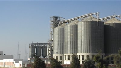 الإمارات تساعد مصر في بناء صوامع لتخزين القمح