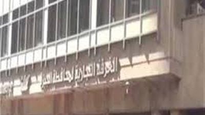 الغرفة التجارية بالجيزة: 50% انخفاضا في أسعار السلع (فيديو)