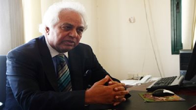 خبير إستراتيجي: «بيت المقدس» تملك جهازًا إعلاميًا شبيهًا بالقاعدة