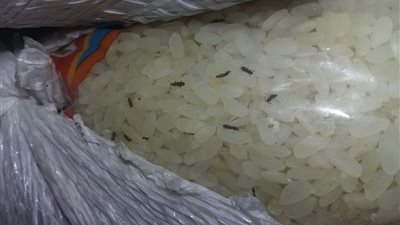 إعدام 44 طن أرز تمويني فاسد في عين شمس