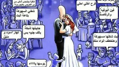 ملخص الفرح المصري