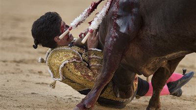 بالفيديو والصور.. شاهد كيف انتقم ثور من مصارع شهير حاول قتله