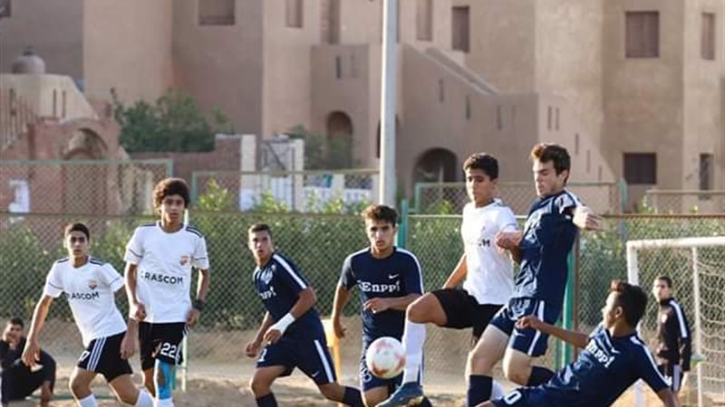 فيتو