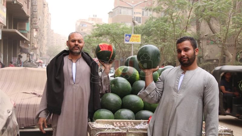 فيتو