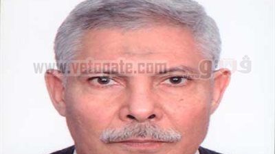 ورشة عمل مشتركة مع الوفد الأمريكى  لتطويرالموانئ