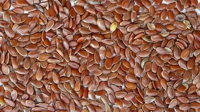 بذور الكتان تقي من السرطان ومفيدة لصحة القلب والشرايين