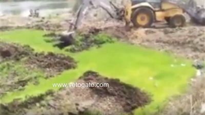 «ري زفتى» تزيل مشاتل الأرز المخالفة (فيديو)