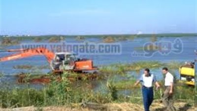 شيخ الصيادين: مافيا الذريعة بالبرلس 