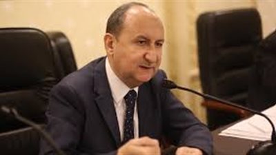 عمرو نصار: تخصيص الأراضي للأغراض الصناعية بدون هامش ربح للدولة