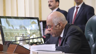 توافق برلماني لتطبيق زيادة معاشات الشرطة على نواب المجلس الضباط