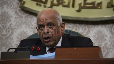 رئيس البرلمان: نجحنا في إفشال مخطط الإرهابية لتشويه صورة مصر