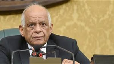 عبد العال: غدا التصويت على قانون الطعن أمام محاكم النقض