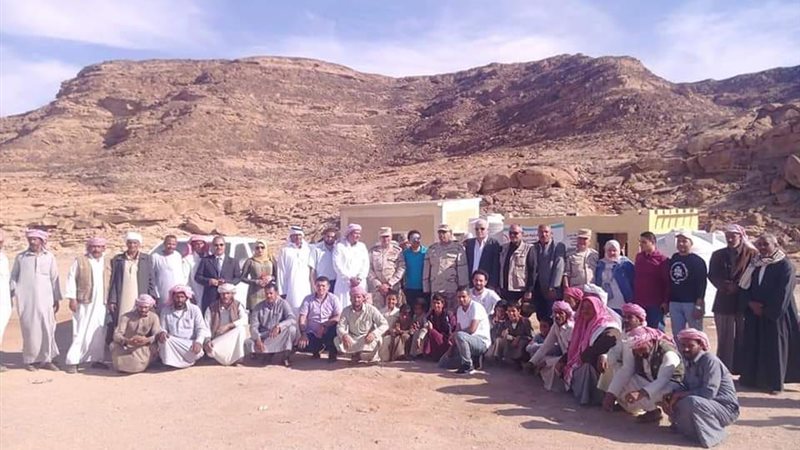 فيتو