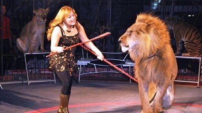 186 ألف متفرج للسيرك القومي عام 1967