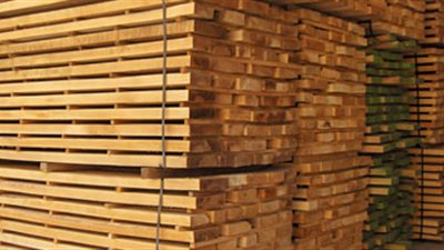 نائبة تقدم شكوى لحماية المستهلك بسبب زيادة أسعار الأخشاب