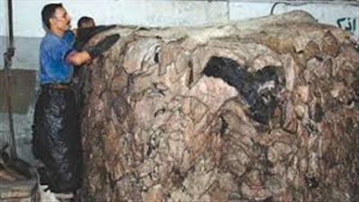 صناعة بئر السلم تمثل 70 % من حجم الغذاء في مصر