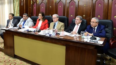 وزيرة التخطيط: نستهدف توفير 850 ألف فرصة عمل العام المالي المقبل