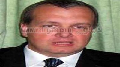 إلغاء زيارة السفير المجرى إلى قوات حفظ السلام بسيناء لدواع أمنية