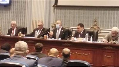 وزير الري ردا على استفسار النواب حول سد النهضة: 