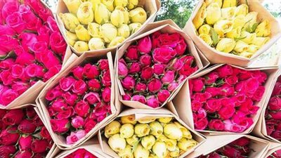 الكويت تنفق مليون دولار على الورد في «الفلانتين»