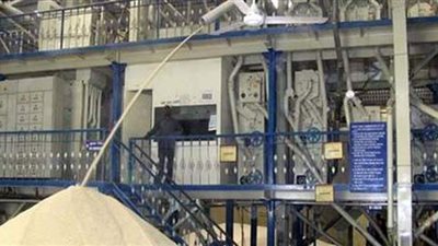 استعدادات مضارب الأرز لاستقبال رمضان