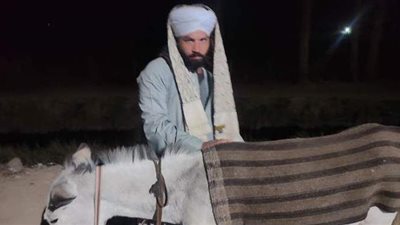 الإفراج عن صاحب رحلة الحمار من الجيزة إلى أسوان